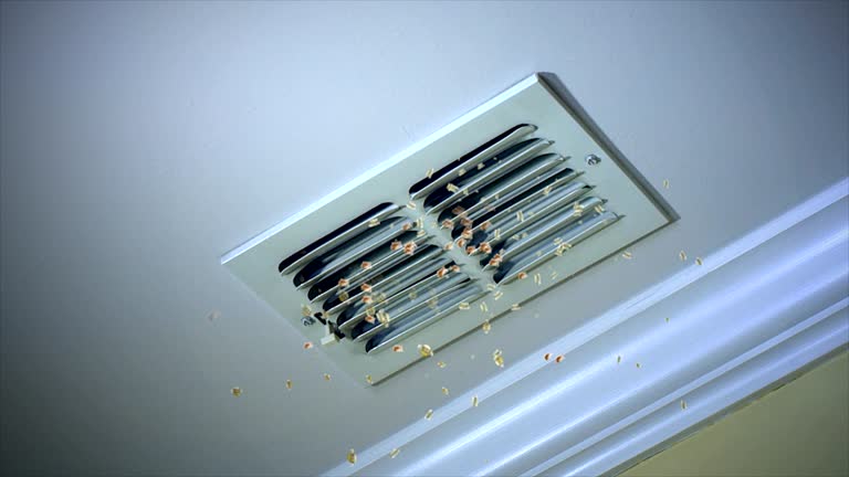 Best Air Vent Cleaning Services  in Scottsdale, AZ